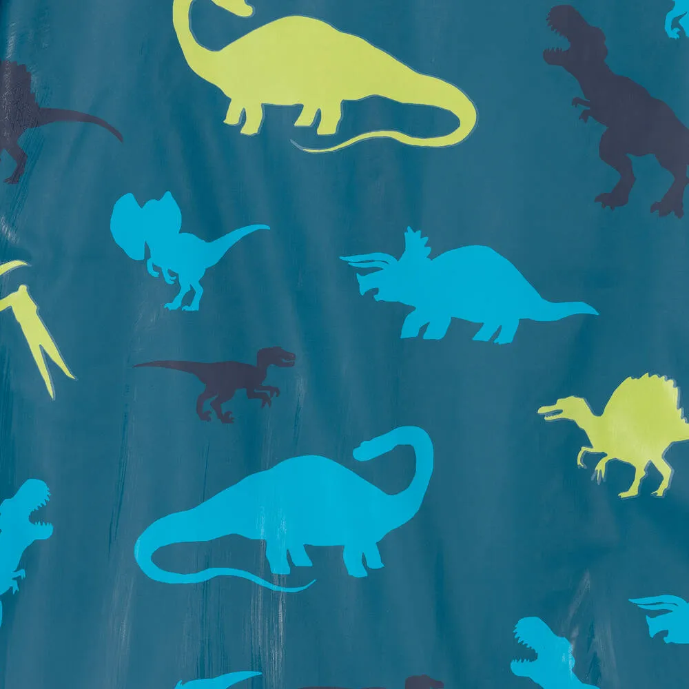 Boys Blue Real Dinos Raincoat 