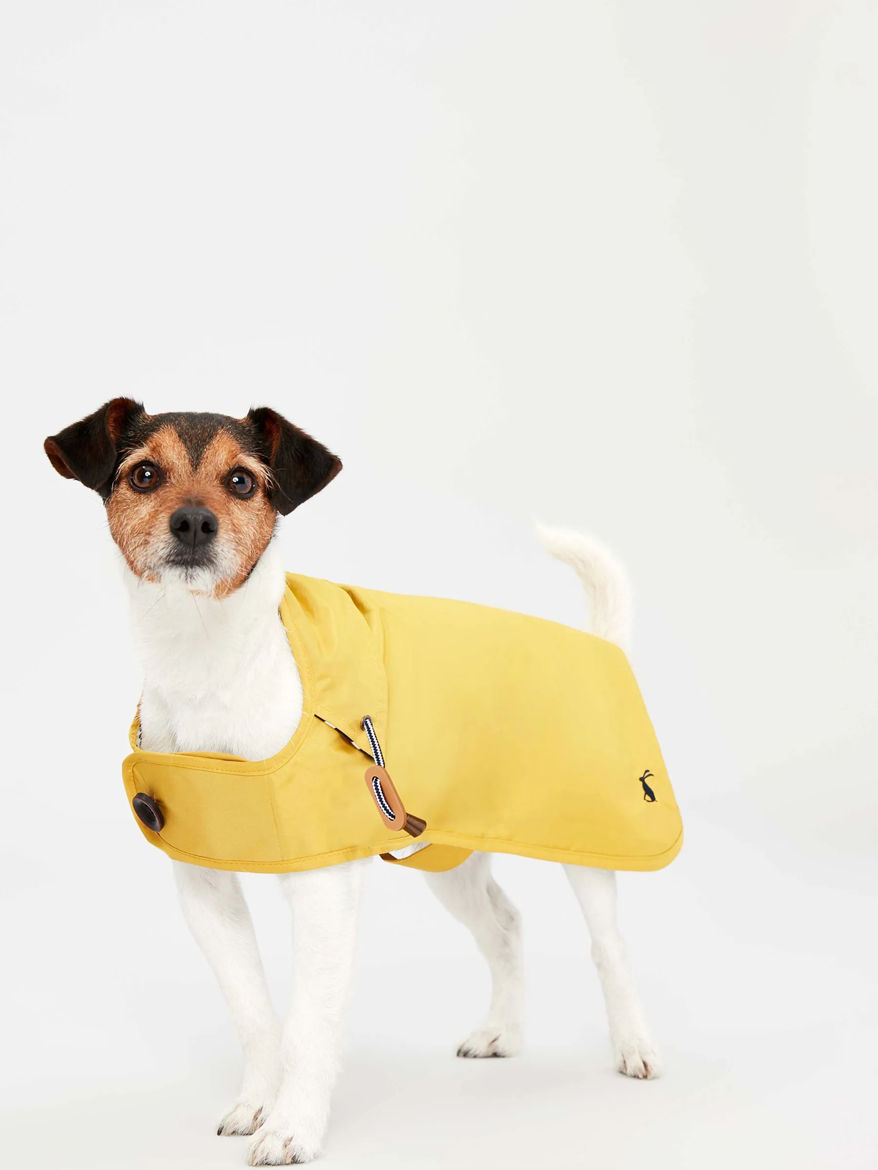 Yellow Dog Raincoat